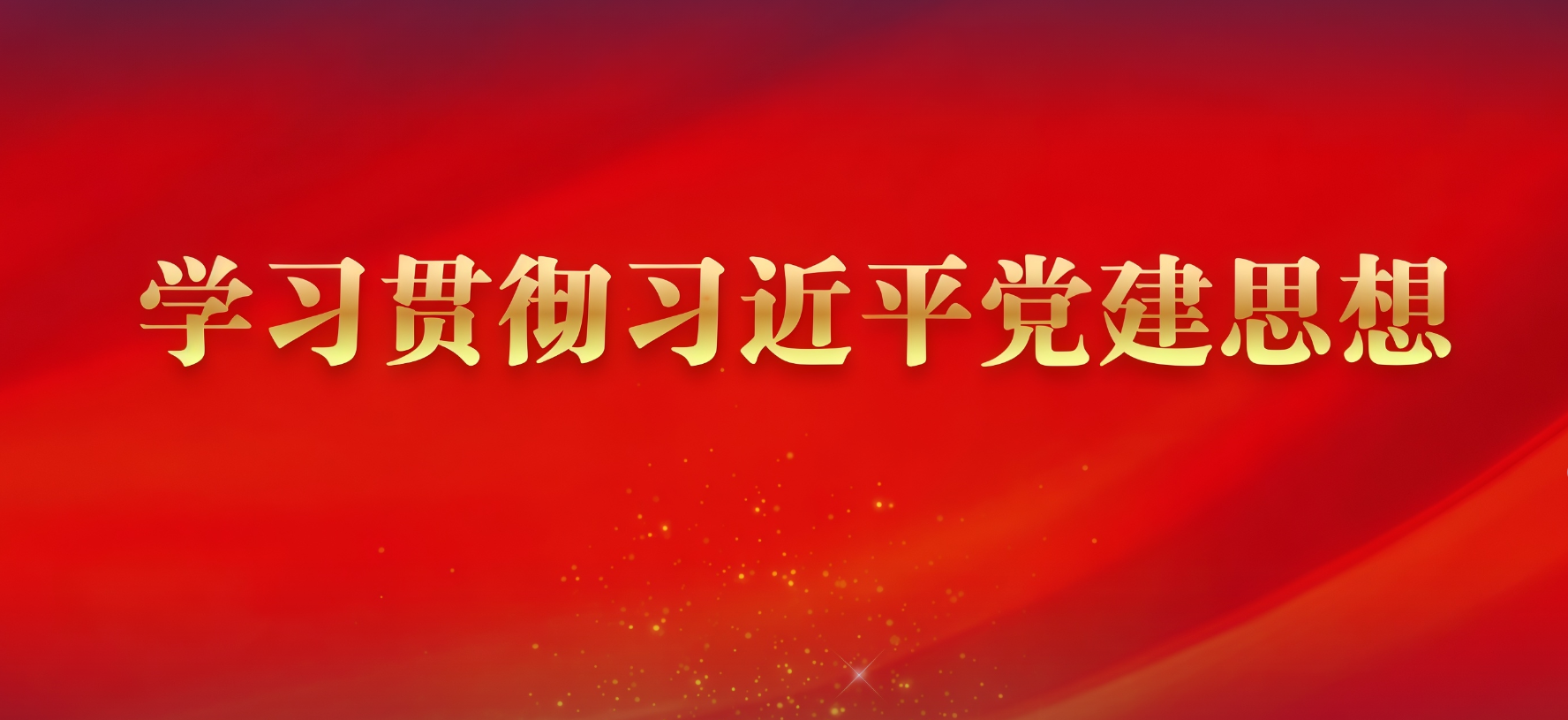学习贯彻习近平党建思想