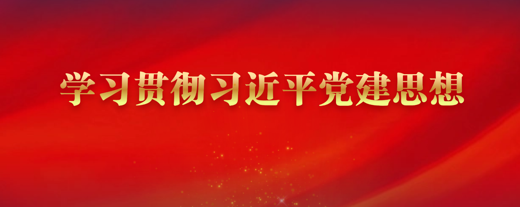 学习贯彻习近平党建思想